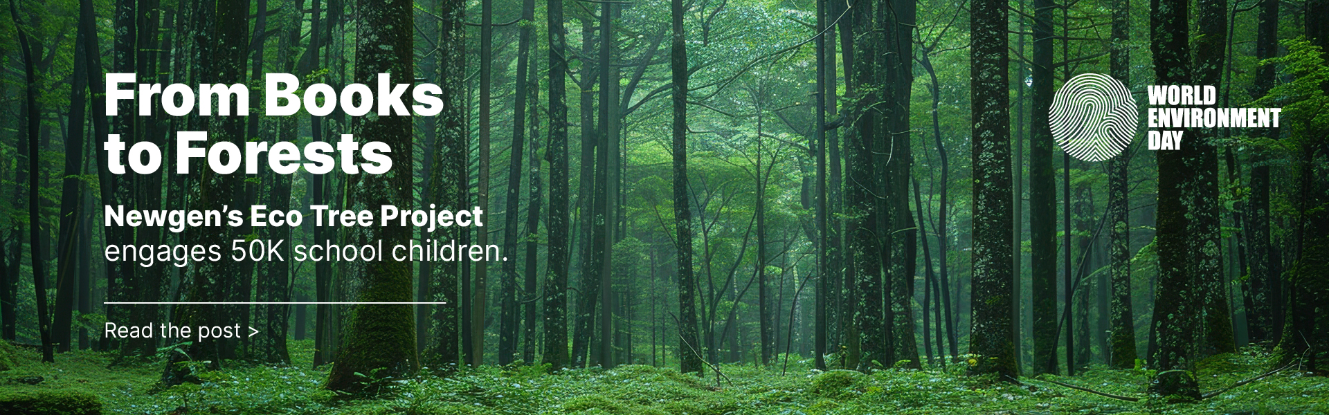 Green forest in the background read the text World Environment day